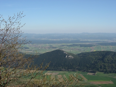 Niederösterreichische Landschaft