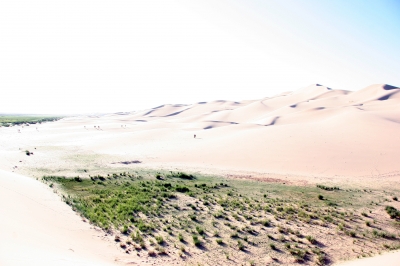Die Eroberung der Wüste