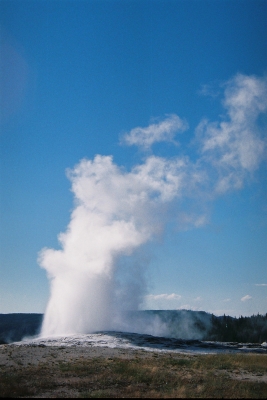 Yellowstone NP