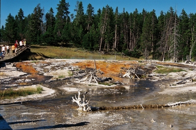 Yellowstone N.P