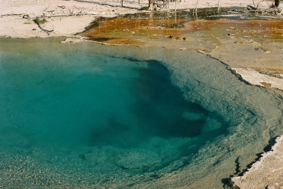 Yellowstone N.P