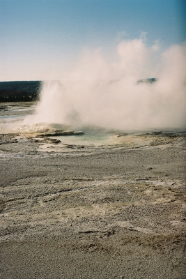 Yellowstone N.P.