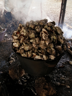Afrikanische Austernküche