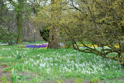 Frühling im Park