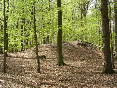 Hügelgrab im Frühlingswald