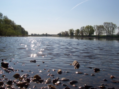 Niedrigwasser der Elbe...