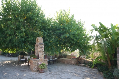 Unter dem Maulbeerbaum der Finca