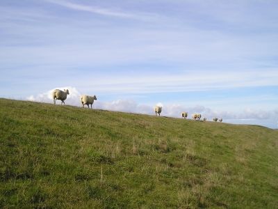 Deichwanderung