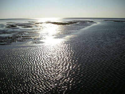 Wattenmeer