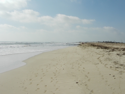 Strand Djerba