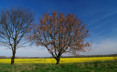 Hamburger Landschaften 4