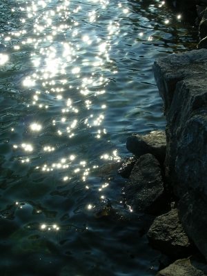 The Sun on the Water