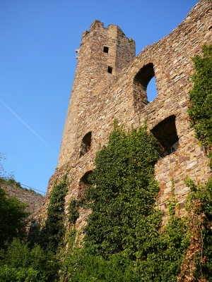 Burgruine Ehrenfels über Rüdesheim am Rhein