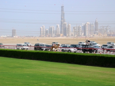 Kamelrennen in Dubai