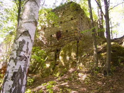 Burgruine bei Dauba