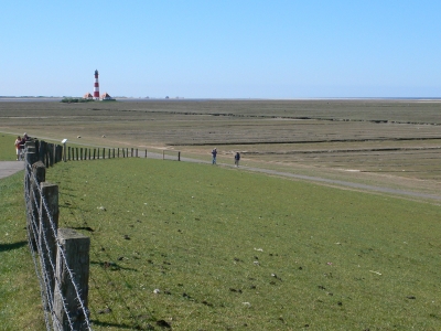 Salzwiesen im Wattenmeer