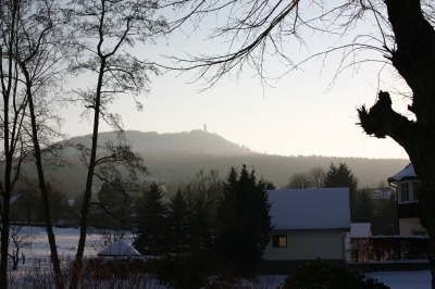 Der Hochwald