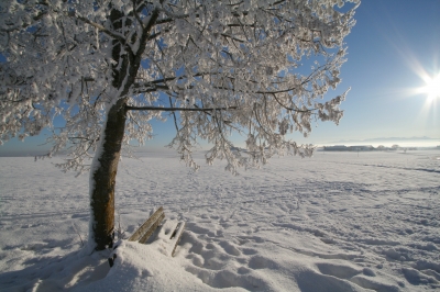 Winter im Bairer Winkl