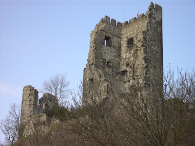 Drachenfels Burgruine