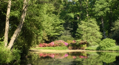 Rhododendronpark Bremen III