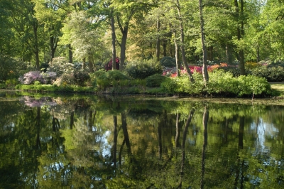 Rhododendronpark Bremen IV