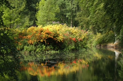 Rhododendronpark Bremen X