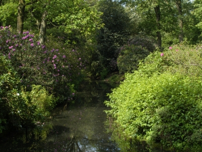 Rhododendronpark Bremen XII