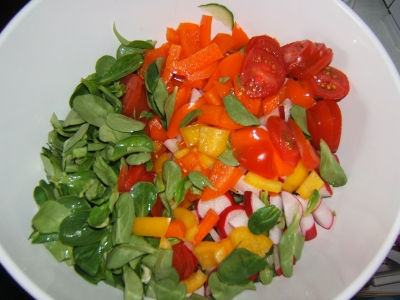 Zutaten Salat