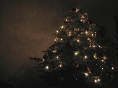 Weihnachtsbaum in der Nacht