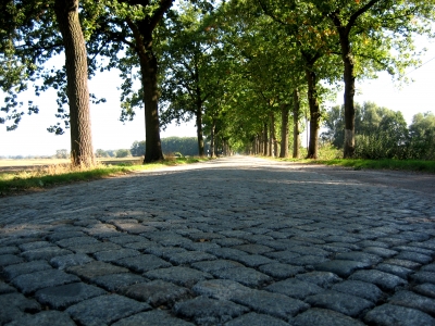 Allee mit Kopfsteinpflaster in Meck-Pom