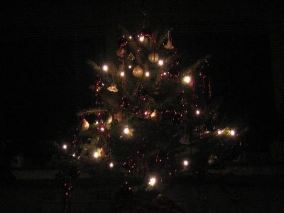 Weihnachtsbaum in dunkelster Nacht