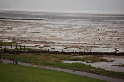 Nordsee bei Ebbe