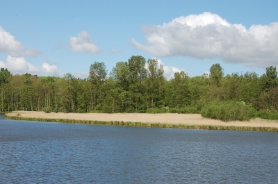 Ein See in Schleswig