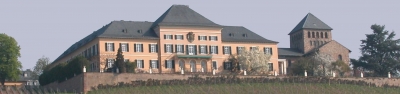 Schloss Johannisberg im Rheingau