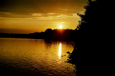 Müritzer See im Sonnenuntergang