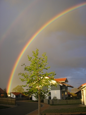 Regenbogen2