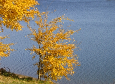 Herbstfoto am Untreusee in Hof