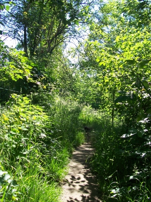 Ein romantischer Schleichweg