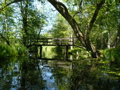 Fließ im Spreewald mit Holzbrücke