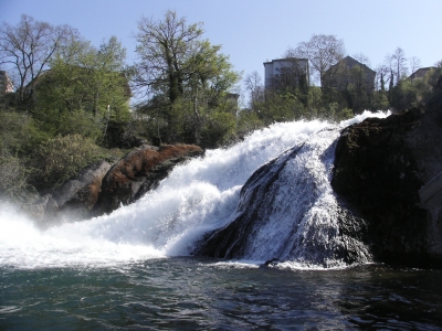 Am Rheinfall von Schaffhausen