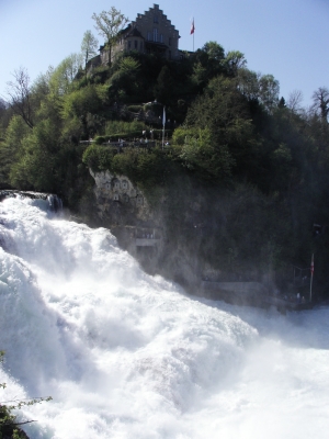 Am Rheinfall von Schaffhausen