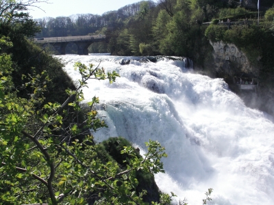 Am Rheinfall von Schaffhausen