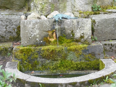 Brunnen mit Eidechse
