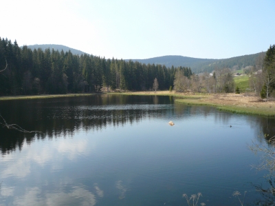 Impressionen vom Schluchsee