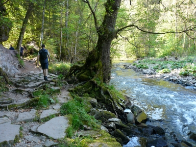 Impressionen aus der Wutachschlucht