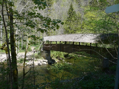 Impressionen aus der Wutachschlucht