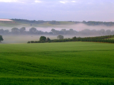 Nach dem Regen