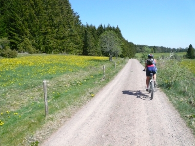 Schwarzwälder Radtour