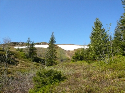 Anstieg zum Feldberg mit Resten von Schnee