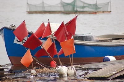 Fischeridyll am Schleswiger Holm